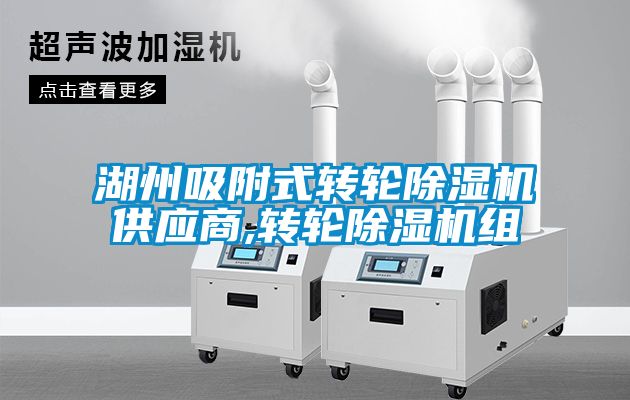 湖州吸附式轉(zhuǎn)輪除濕機供應(yīng)商,轉(zhuǎn)輪除濕機組