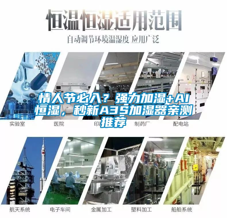 情人節必入？強力加濕+AI恒濕，秒新A3S加濕器親測推薦