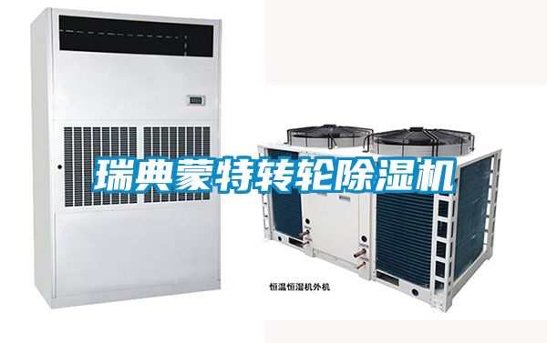 瑞典蒙特轉(zhuǎn)輪除濕機