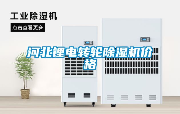 河北鋰電轉(zhuǎn)輪除濕機(jī)價格