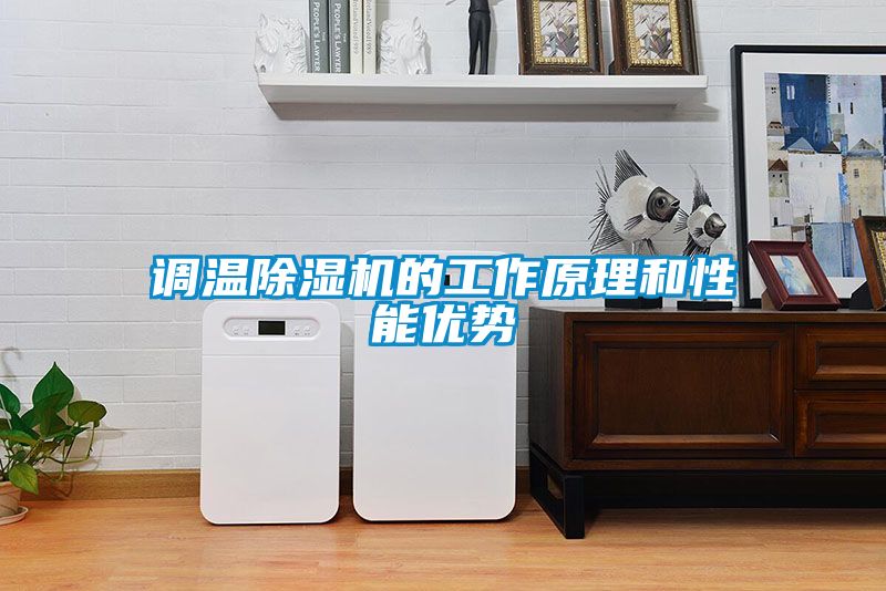 調(diào)溫除濕機(jī)的工作原理和性能優(yōu)勢(shì)