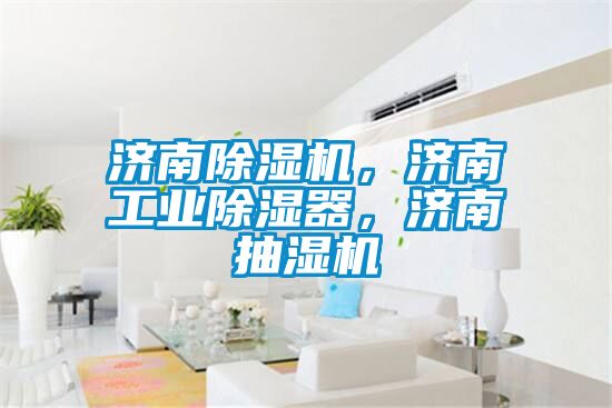 濟(jì)南除濕機(jī)，濟(jì)南工業(yè)除濕器，濟(jì)南抽濕機(jī)