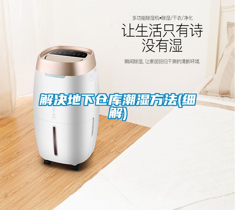 解決地下倉庫潮濕方法(細(xì)解)