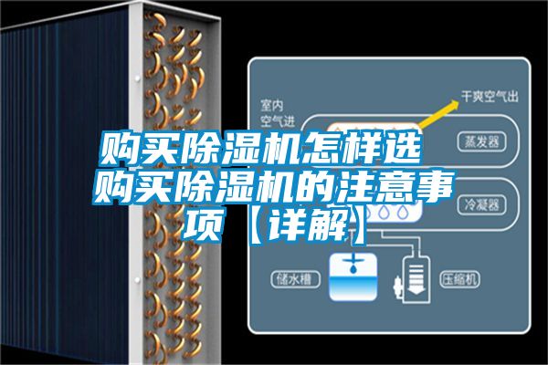 購買除濕機(jī)怎樣選 購買除濕機(jī)的注意事項(xiàng)【詳解】