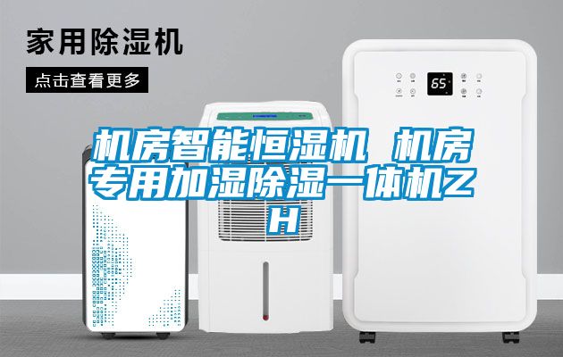 機(jī)房智能恒濕機(jī) 機(jī)房專用加濕除濕一體機(jī)ZH