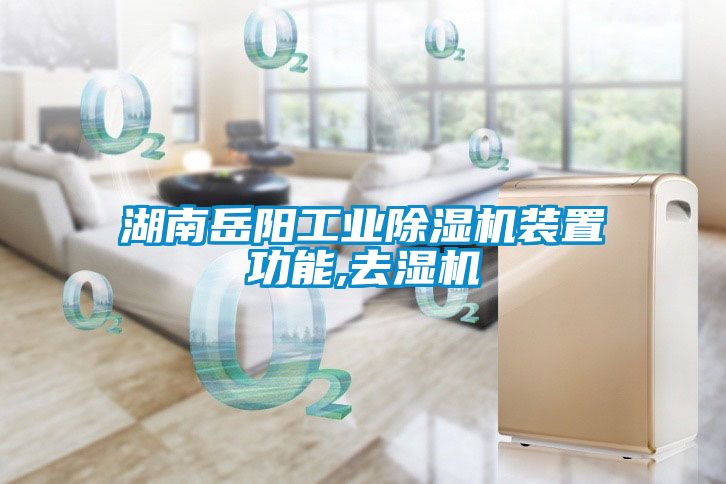 湖南岳陽工業(yè)除濕機(jī)裝置功能,去濕機(jī)