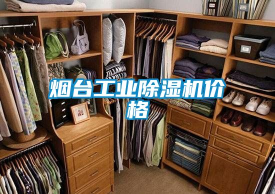 煙臺(tái)工業(yè)除濕機(jī)價(jià)格