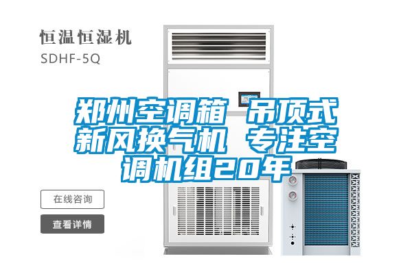 鄭州空調(diào)箱 吊頂式新風(fēng)換氣機(jī) 專(zhuān)注空調(diào)機(jī)組20年