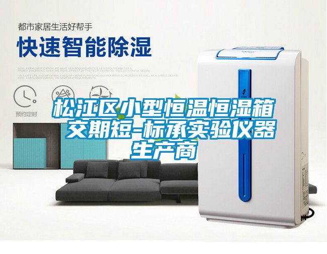 松江區(qū)小型恒溫恒濕箱 交期短-標(biāo)承實(shí)驗(yàn)儀器生產(chǎn)商