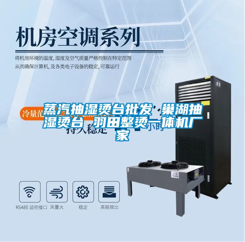 蒸汽抽濕燙臺批發(fā) 巢湖抽濕燙臺 羽田整燙一體機(jī)廠家