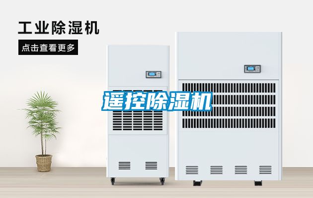 遙控除濕機(jī)