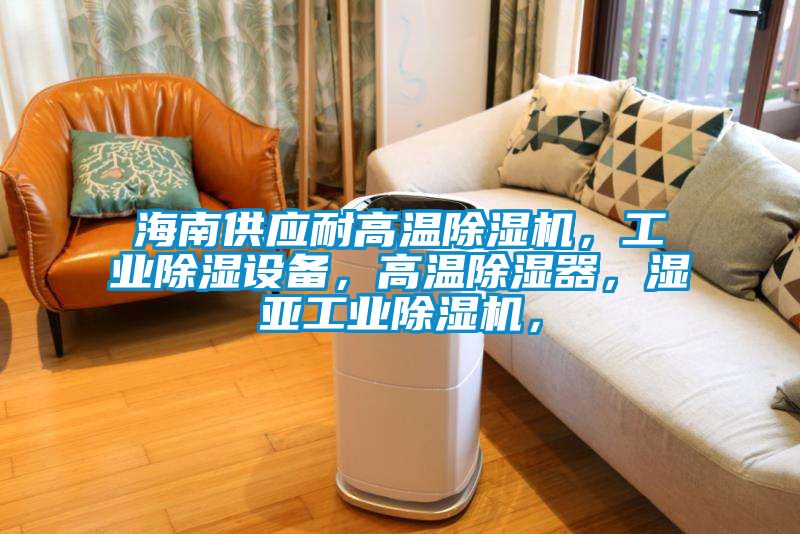 海南供應耐高溫除濕機，工業(yè)除濕設備，高溫除濕器，濕亞工業(yè)除濕機，