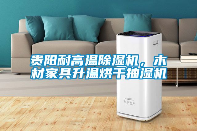 貴陽耐高溫除濕機(jī)，木材家具升溫烘干抽濕機(jī)