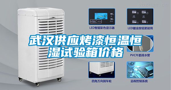 武漢供應(yīng)烤漆恒溫恒濕試驗箱價格