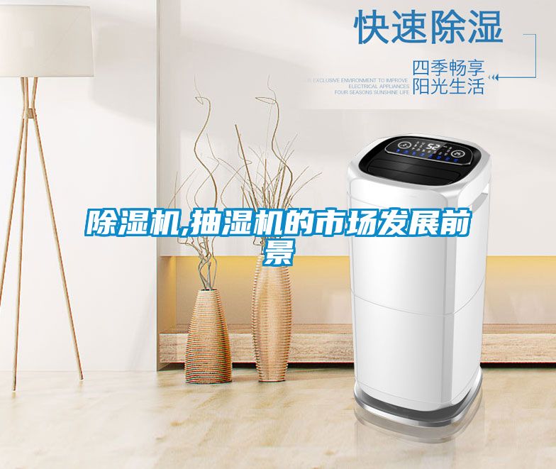 除濕機(jī),抽濕機(jī)的市場發(fā)展前景