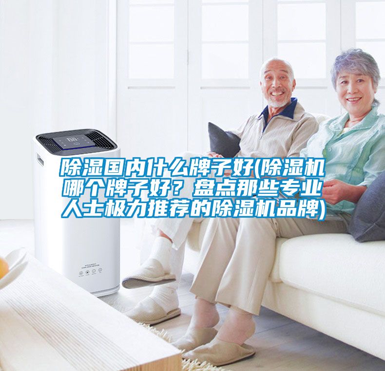 除濕國內什么牌子好(除濕機哪個牌子好？盤點那些專業人士極力推薦的除濕機品牌)