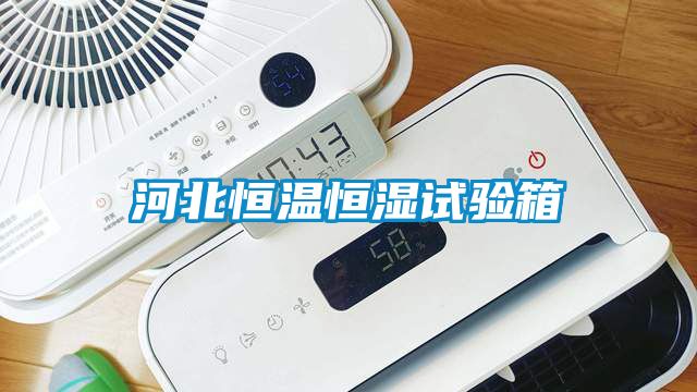 河北恒溫恒濕試驗(yàn)箱