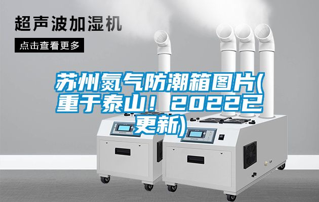 蘇州氮?dú)夥莱毕鋱D片(重于泰山！2022已更新)