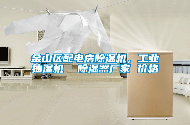 金山區(qū)配電房除濕機(jī)，工業(yè)抽濕機(jī)  除濕器廠家 價(jià)格