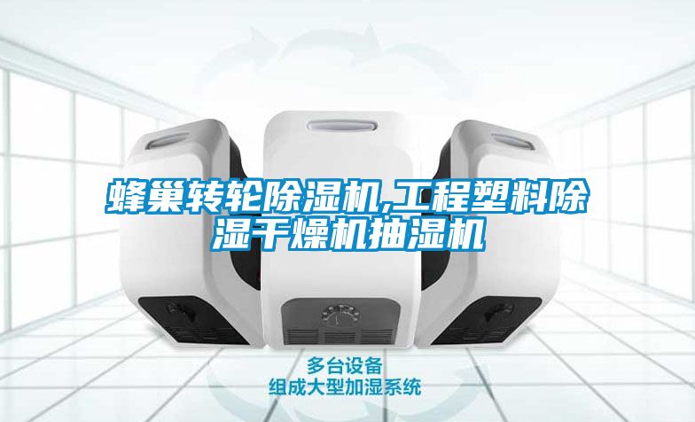 蜂巢轉(zhuǎn)輪除濕機,工程塑料除濕干燥機抽濕機