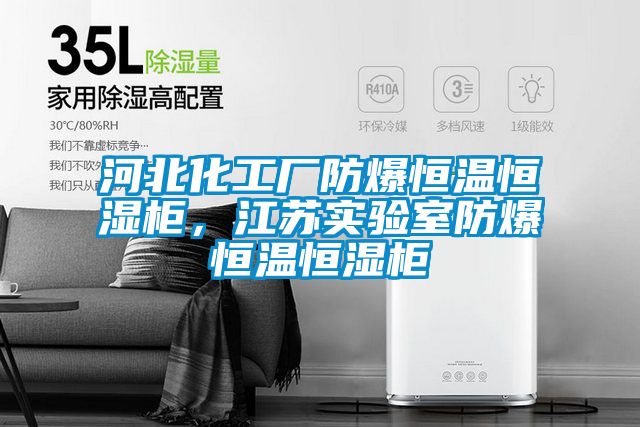 河北化工廠防爆恒溫恒濕柜，江蘇實(shí)驗(yàn)室防爆恒溫恒濕柜