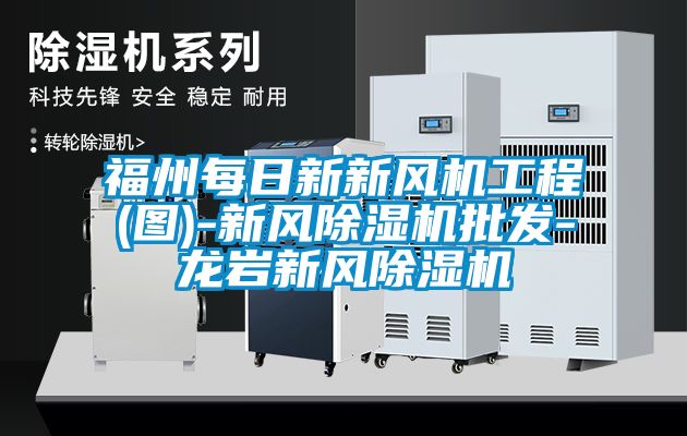 福州每日新新風(fēng)機工程(圖)-新風(fēng)除濕機批發(fā)-龍巖新風(fēng)除濕機