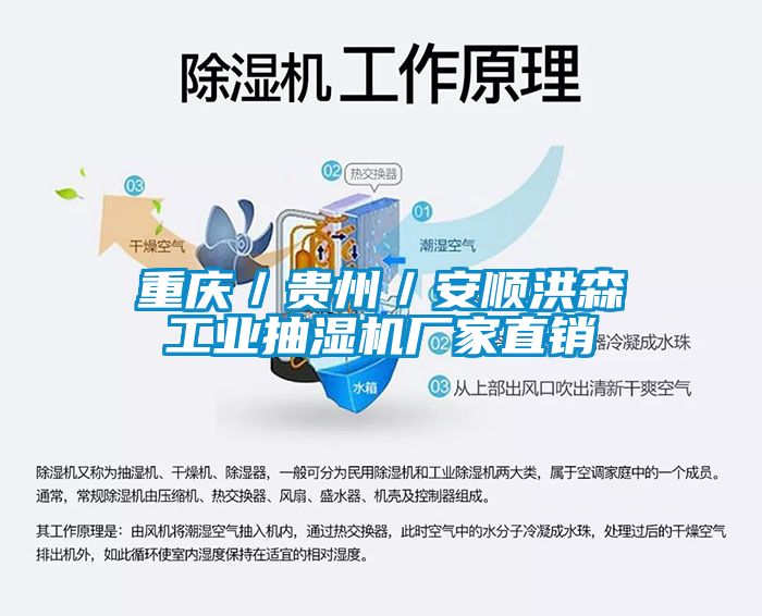 重慶／貴州／安順洪森工業(yè)抽濕機廠家直銷
