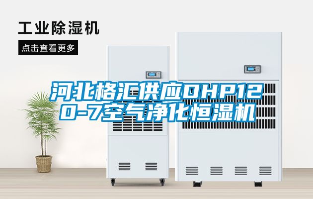 河北格匯供應DHP120-7空氣凈化恒濕機
