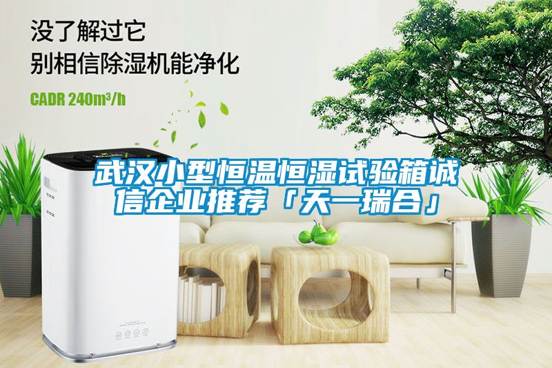 武漢小型恒溫恒濕試驗(yàn)箱誠(chéng)信企業(yè)推薦「天一瑞合」