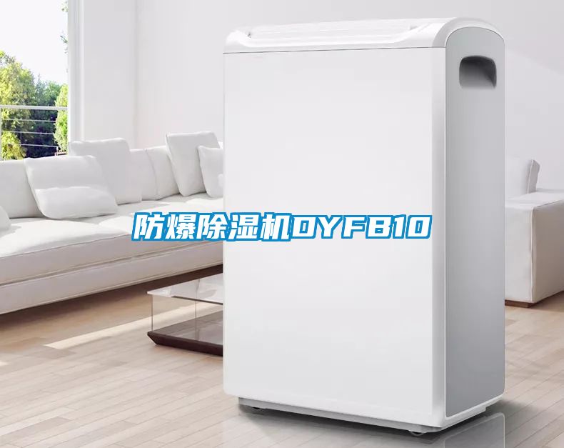 防爆除濕機(jī)DYFB10