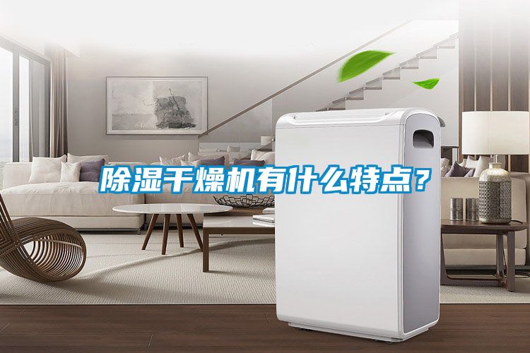 除濕干燥機(jī)有什么特點(diǎn)？