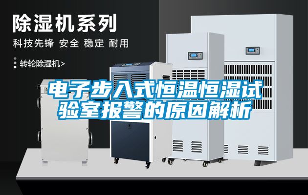 電子步入式恒溫恒濕試驗(yàn)室報(bào)警的原因解析