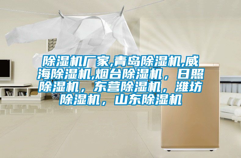 除濕機(jī)廠家,青島除濕機(jī),威海除濕機(jī),煙臺(tái)除濕機(jī)，日照除濕機(jī)，東營(yíng)除濕機(jī)，濰坊除濕機(jī)，山東除濕機(jī)