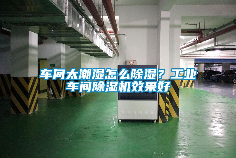 車間太潮濕怎么除濕？工業(yè)車間除濕機(jī)效果好