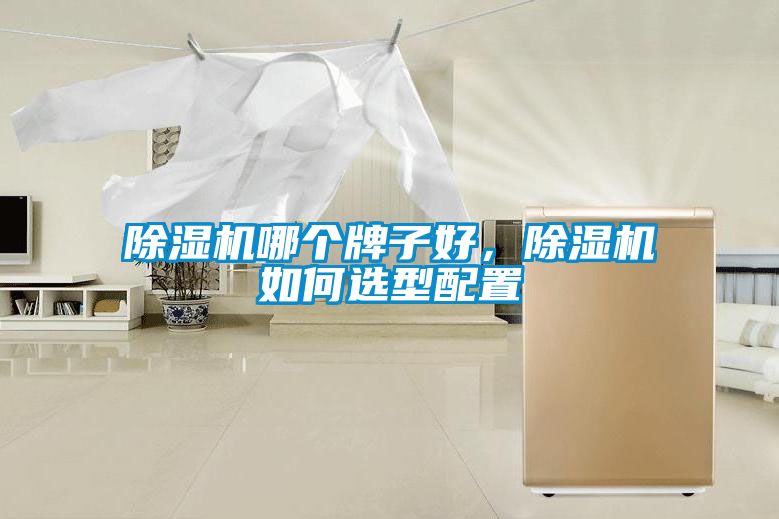 除濕機哪個牌子好，除濕機如何選型配置