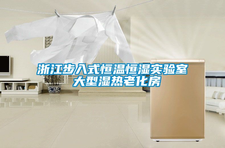 浙江步入式恒溫恒濕實(shí)驗(yàn)室 大型濕熱老化房