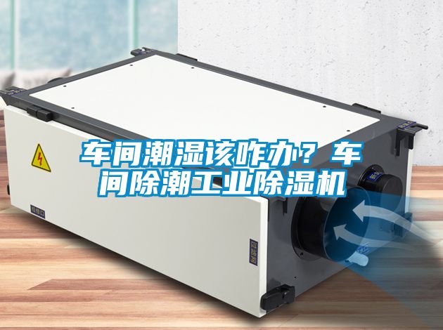 車間潮濕該咋辦？車間除潮工業(yè)除濕機(jī)
