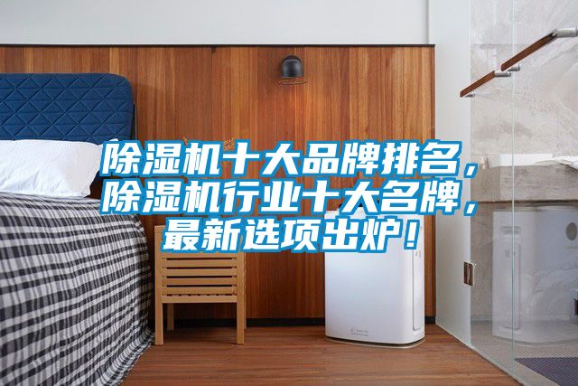除濕機十大品牌排名，除濕機行業十大名牌，最新選項出爐！