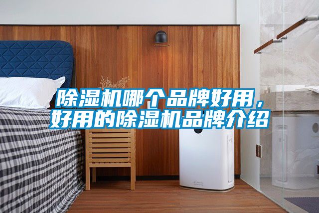 除濕機哪個品牌好用，好用的除濕機品牌介紹