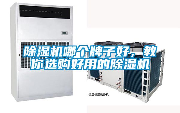 除濕機(jī)哪個牌子好，教你選購好用的除濕機(jī)