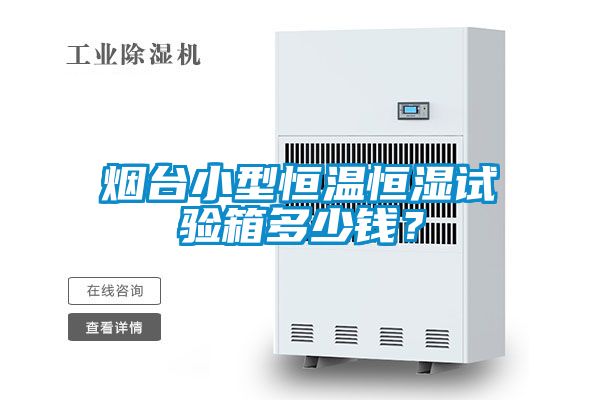 煙臺小型恒溫恒濕試驗箱多少錢？