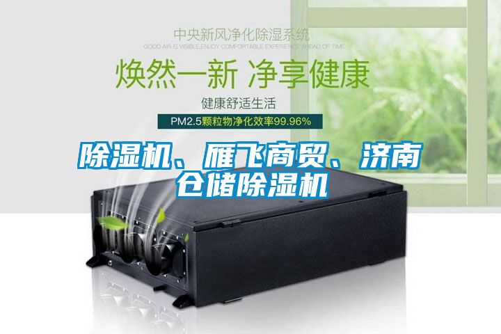 除濕機(jī)、雁飛商貿(mào)、濟(jì)南倉(cāng)儲(chǔ)除濕機(jī)