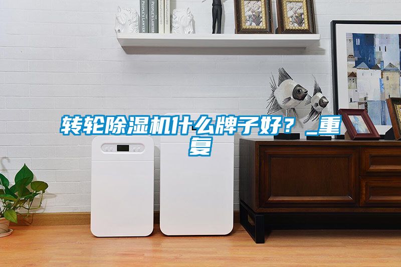 轉(zhuǎn)輪除濕機(jī)什么牌子好？_重復(fù)