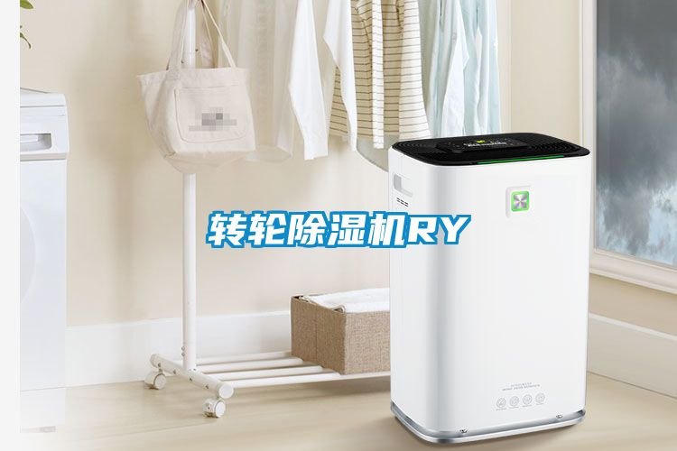 轉(zhuǎn)輪除濕機(jī)RY