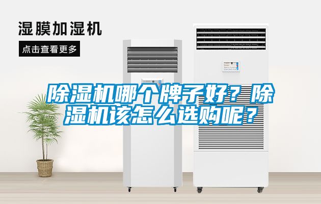 除濕機哪個牌子好？除濕機該怎么選購呢？