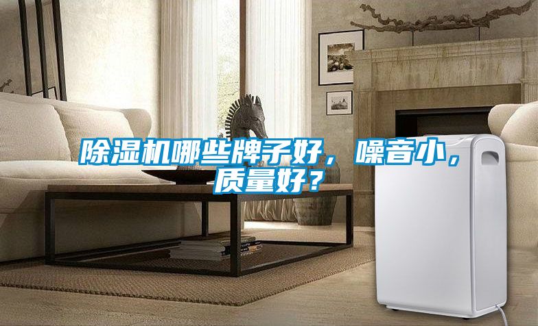 除濕機哪些牌子好，噪音小，質量好？