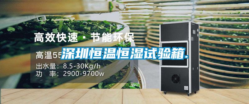 深圳恒溫恒濕試驗(yàn)箱.