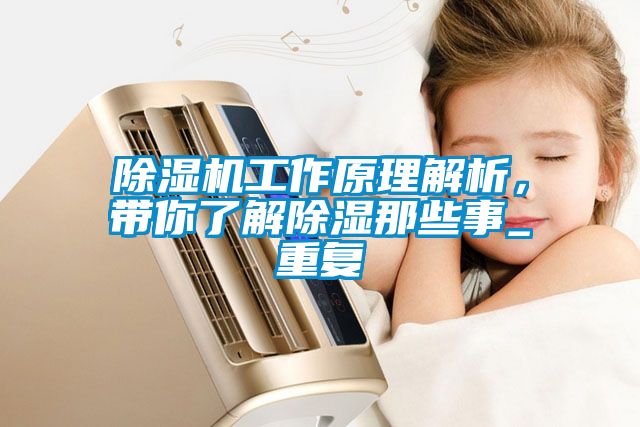 除濕機工作原理解析，帶你了解除濕那些事_重復