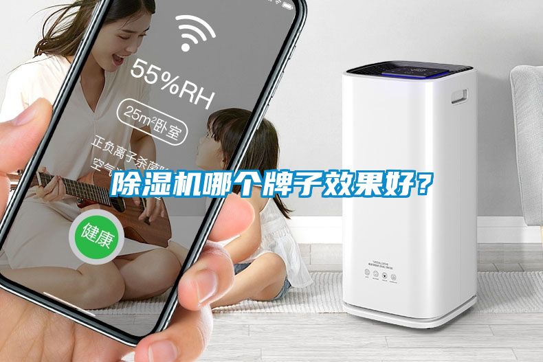 除濕機哪個牌子效果好？