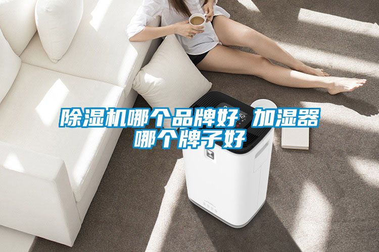除濕機(jī)哪個(gè)品牌好 加濕器哪個(gè)牌子好